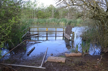 Birch Road Pond flooding