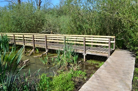 Birch Road Pond