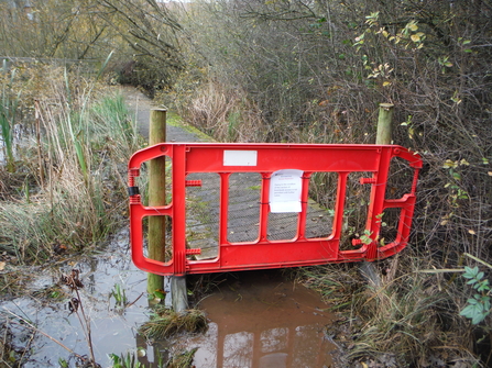 Birch Road Pon broken boardwalk