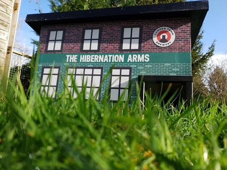 Hibernation arms hedgehog house