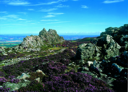 Stiperstones