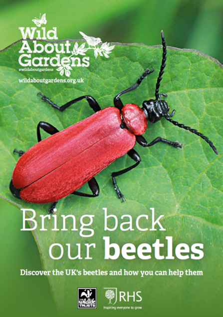 Wild about gardens
