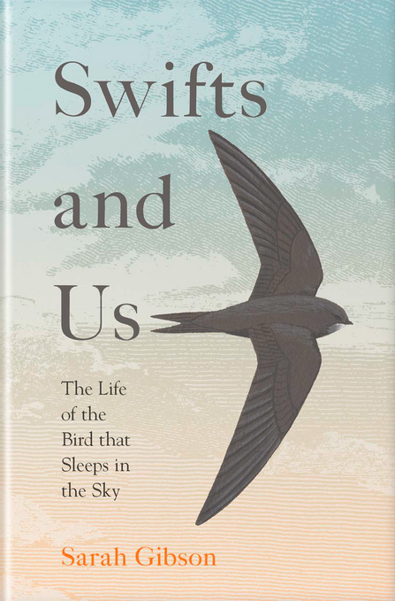 Swifts and Us