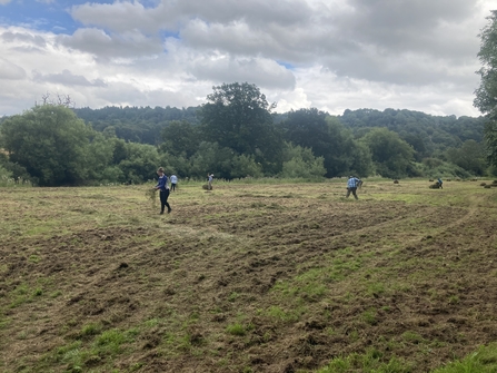 Lightmoor hay strewing