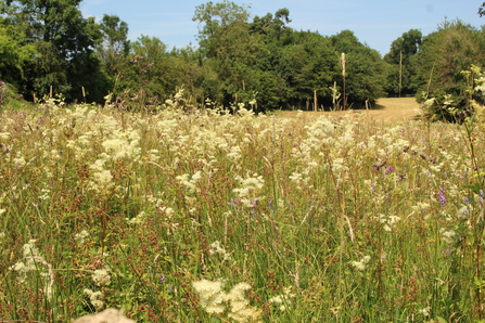 Sweeney Fen