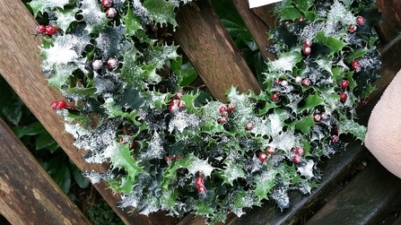 Holly wreath