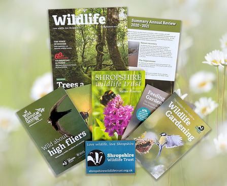 Become a member | Shropshire Wildlife Trust