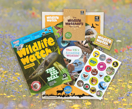 Wildlife Watch membership pack