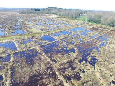 Rewetting area of the Mosses