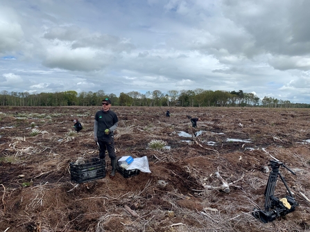 Planting sphagnum