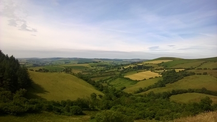 Shropshire Landscape - Wilder Marches