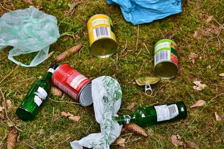 Litter on grassy ground