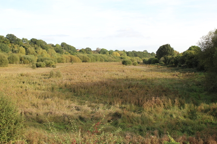 Landscape view of Shrewsbury Old River Bed (C) Rachel Schofield