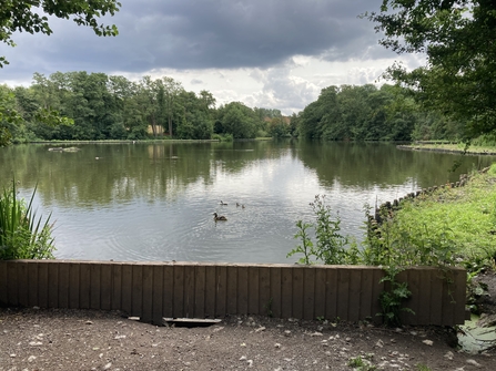 A path overlooking a lake with ducks swimming on the surface