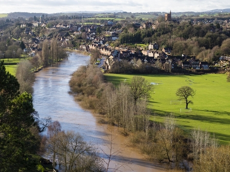 Bridgnorth from High Rock (c) Tim Walter