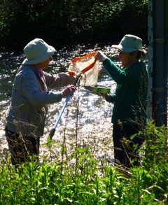 Clun and BC river monitoring vy Dave Lewis