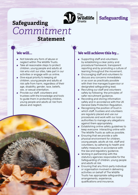 Safeguarding commitment statement image