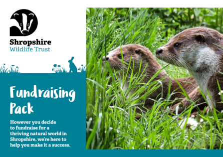 Front page of fundraising pack with a picture of 2 otters