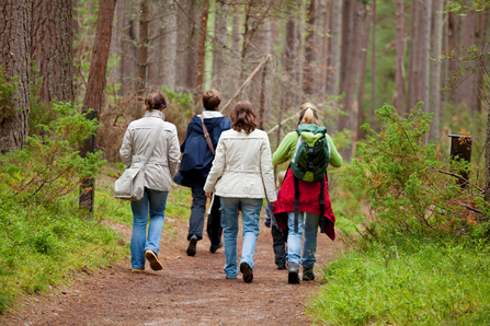 Group walking through a woodland