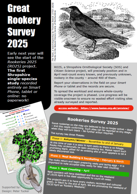 Shropshire Rookery Survey 2025 flyer