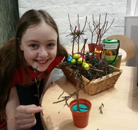 Nest building challenge