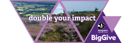 Double your impact