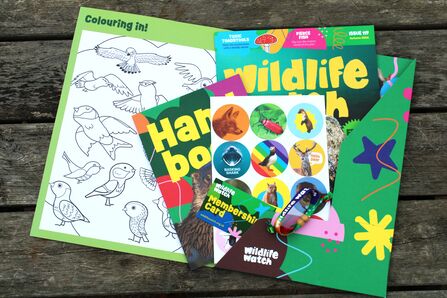 Flat-lay photo of Wildlife Watch pack