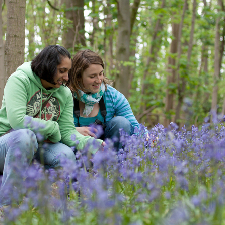 Bluebells - two young women looking at flowers