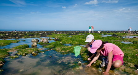 Rockpooling