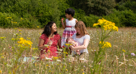 People and meadow