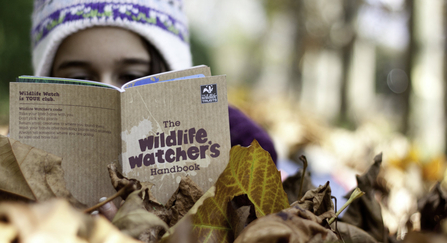 Wildlife Watch