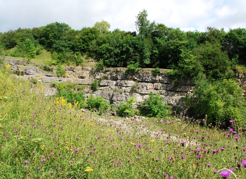 Dolgoch Quarry