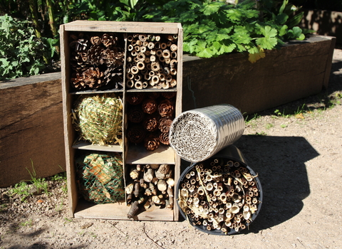 Bug hotels