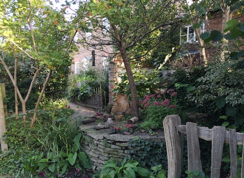 Woodland Garden