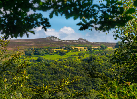 Earl's and Pontesford Hill | Shropshire Wildlife Trust