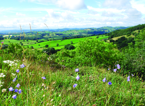 View from Craig Sychtyn