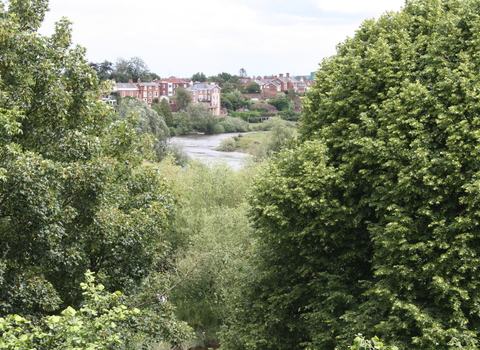 View from Darwin's garden