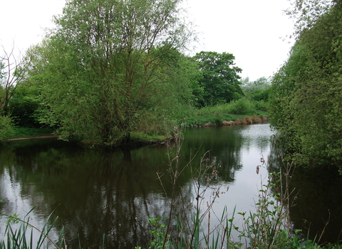 Quarry Wood pool