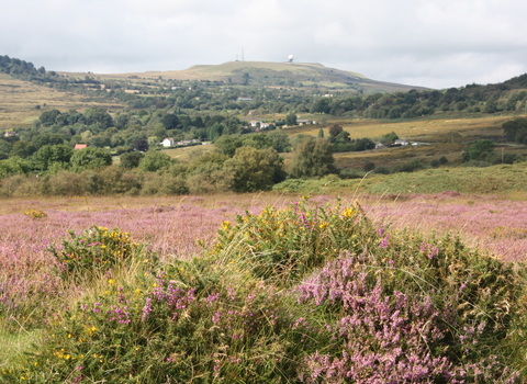 Catherton Clee Hill