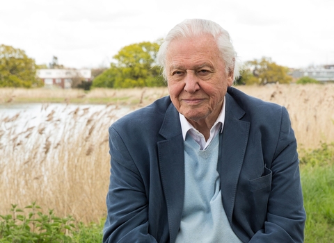 sir David Attenborough.jpeg