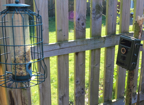 Bushnell nature view at feeder