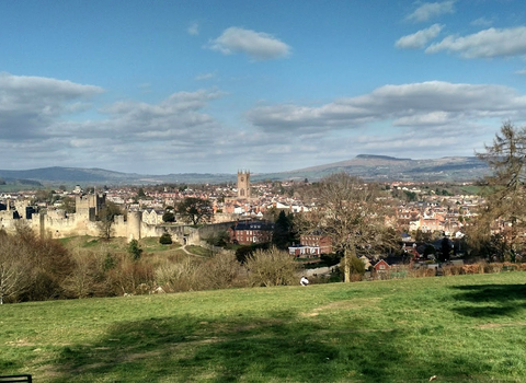 Ludlow from Whitcliffe Common