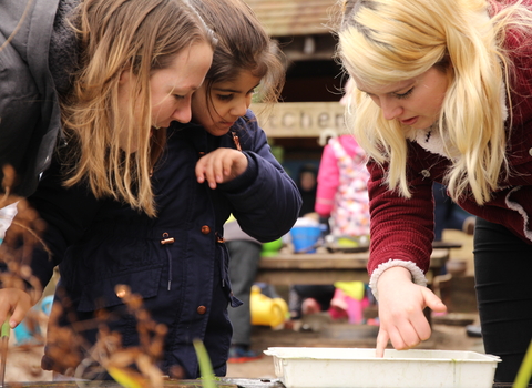 Pond dipping