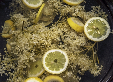 Elderflower cordial