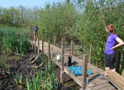 Birch Road pond volunteers