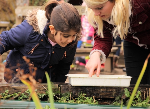 Pond dipping at Wildlings