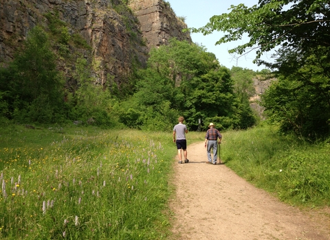 A summer walk at Llanymynech Rocks