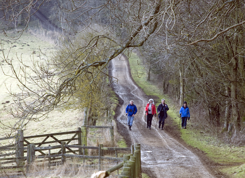 Country_walk_cpt_Zsuzsanna_Bird