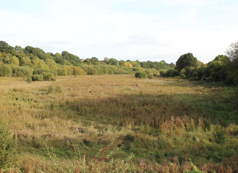 Landscape view of Shrewsbury Old River Bed (C) Rachel Schofield