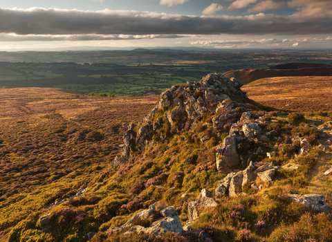 Stiperstones Ridge in Shropshrie